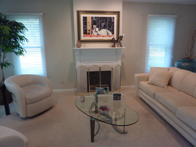 631 Raintree Road Buffalo Grove, IL 60089 - Photo 4 of 22 a living room with furniture and a fireplace