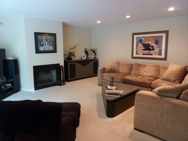 631 Raintree Road Buffalo Grove, IL 60089 - Photo 8 of 22 a living room with furniture a flat screen tv and a fireplace