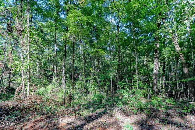 $36,500 | 1272 Applewood Way, Unit 15, Newport, TN 37821