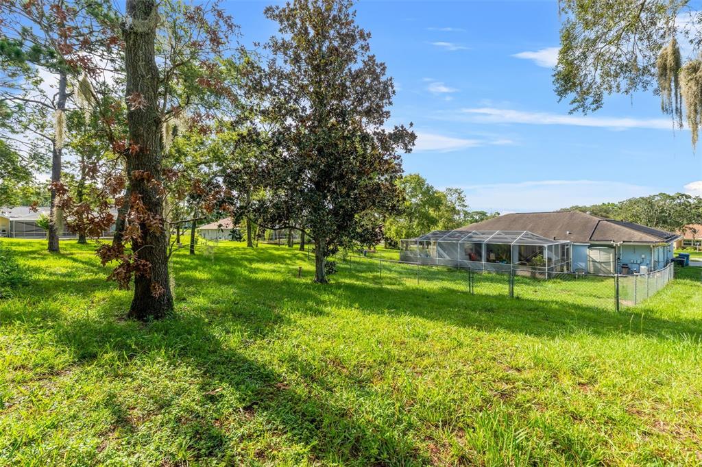 13377 Elise Lane Spring Hill, FL 34609 - Photo 25 of 30 a view of a house with a big yard
