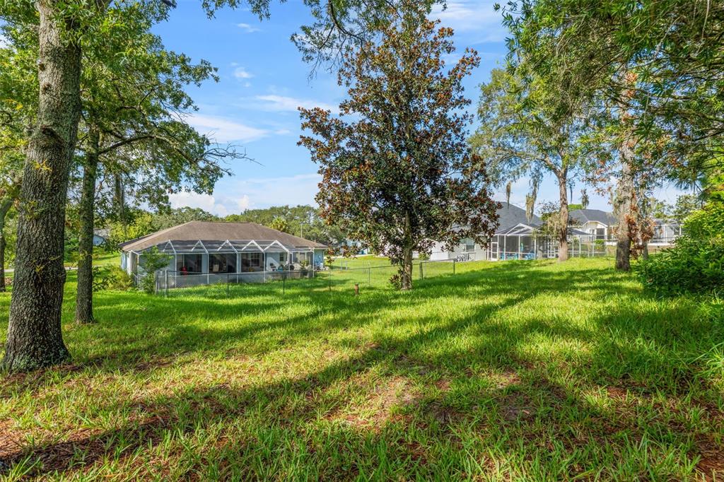 13377 Elise Lane Spring Hill, FL 34609 - Photo 26 of 30 a view of a house with a big yard