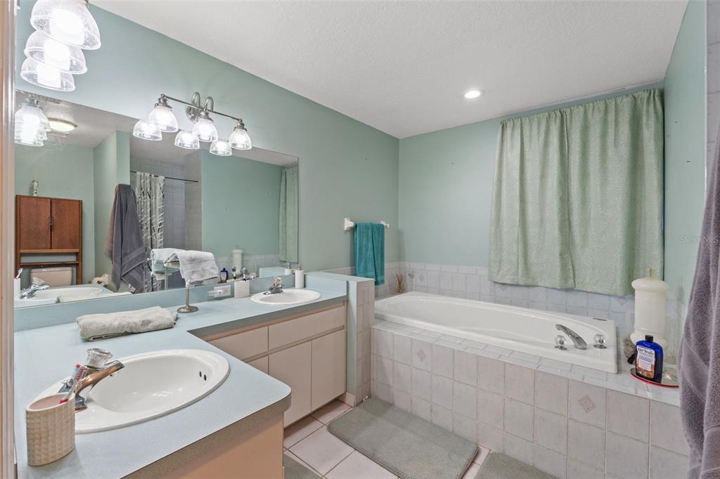 13377 Elise Lane Spring Hill, FL 34609 - Photo 8 of 30 a bathroom with a sink mirror and a bathtub