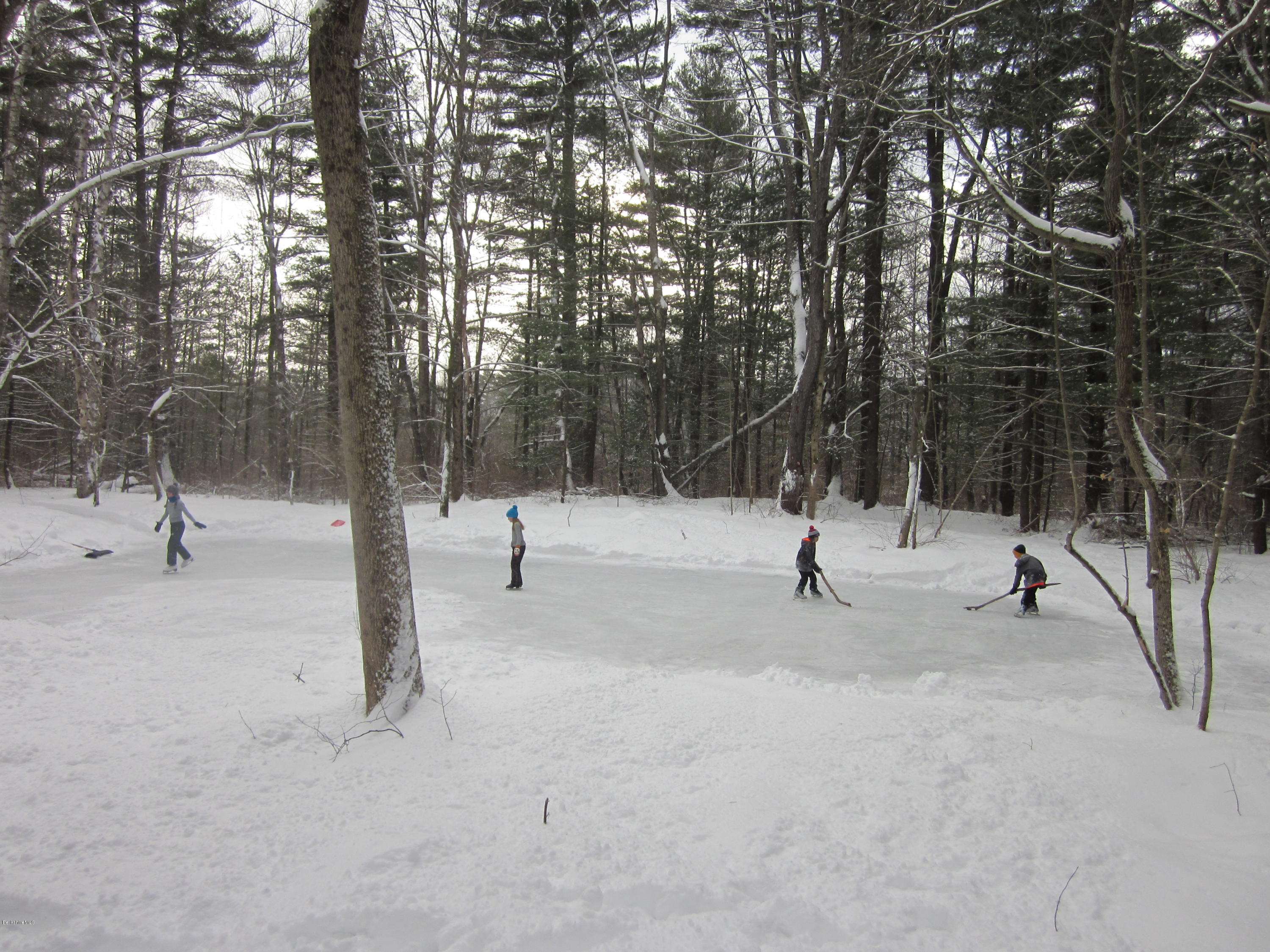 Winter Wonderland