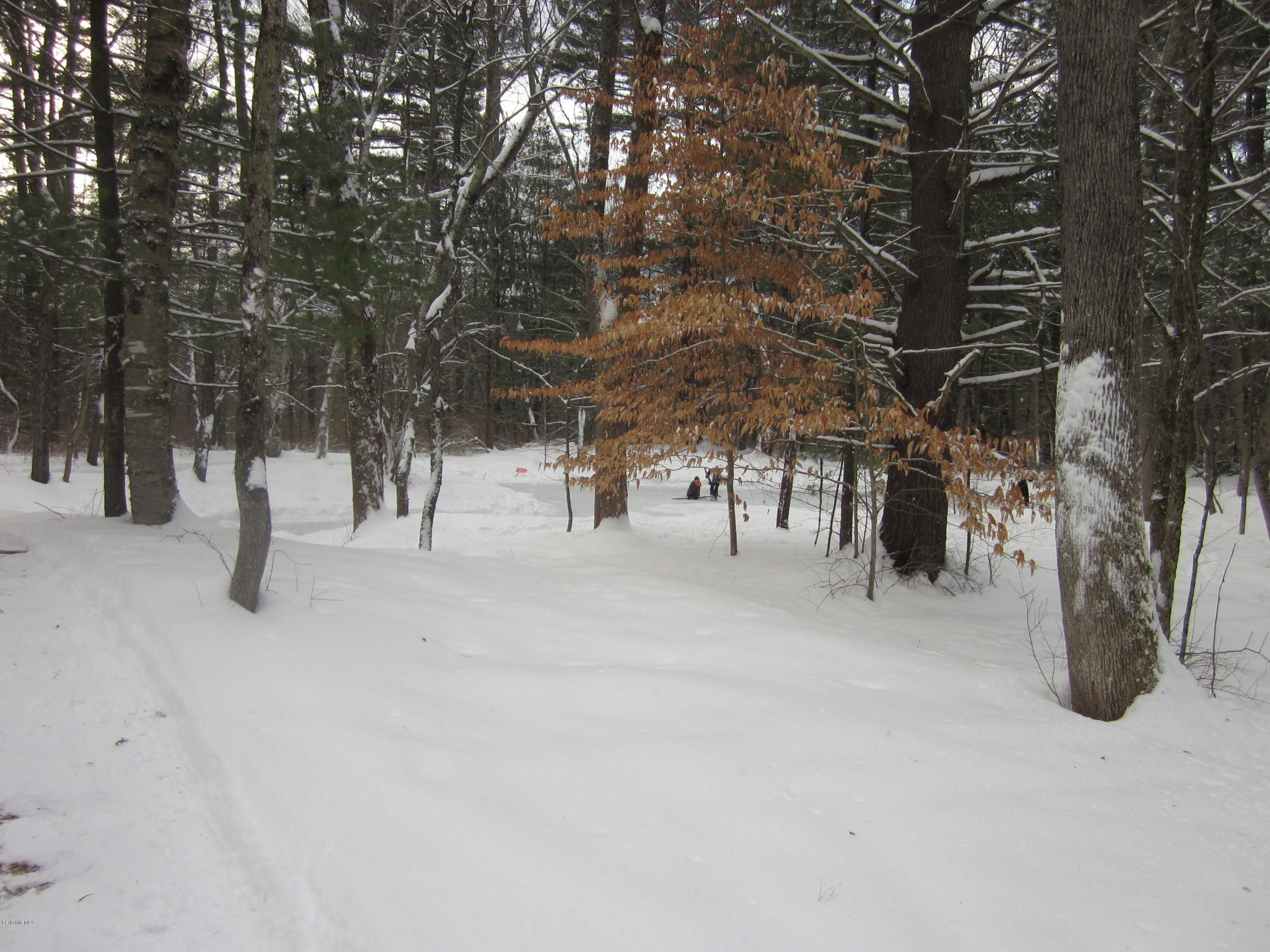 751 Dublin Road Richmond, MA 01254 - Photo 36 of 41 Through The Woods