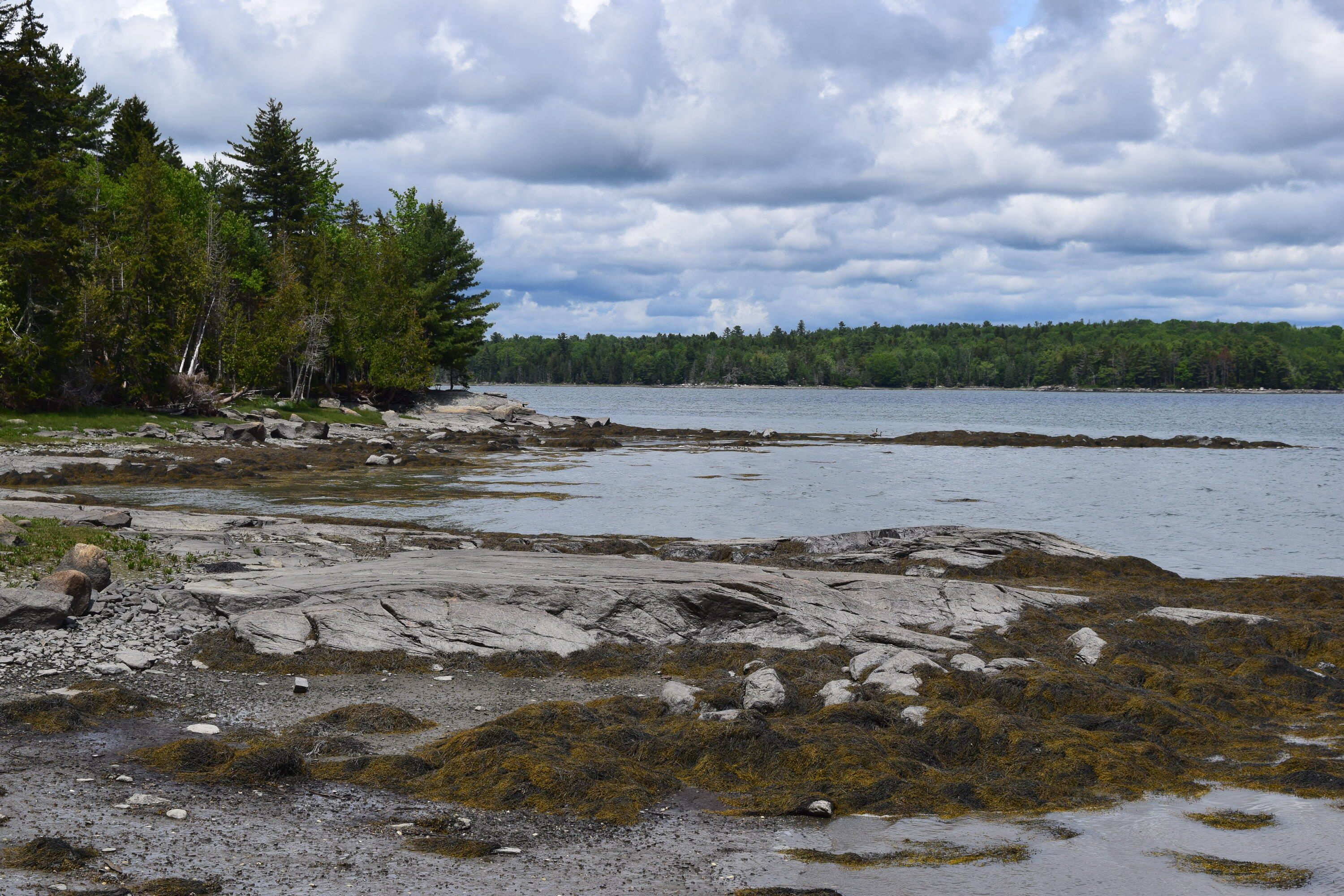 0 Landing Road Hancock, ME 04640 - Photo 7 of 17 DSC_0049