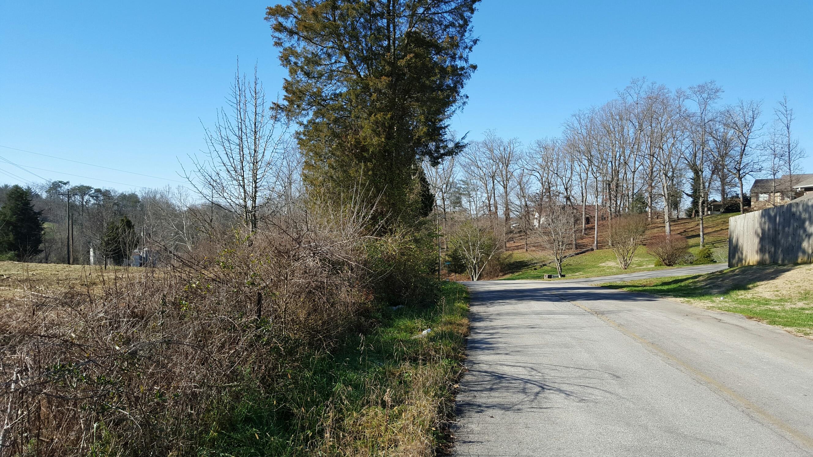3428 Clover Hill Ridge Road Maryville, TN 37801 - Photo 5 of 5 948784 (4)