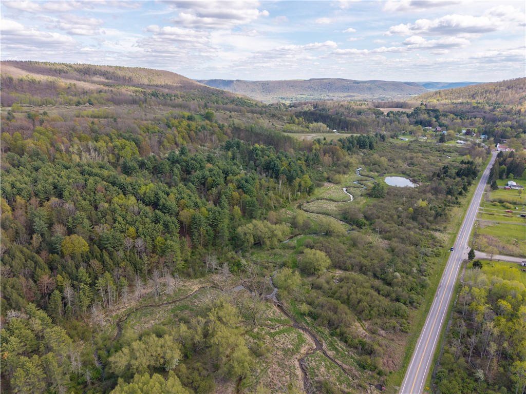 0 County Route 13 Bath, NY 14810 - Photo 3 of 26