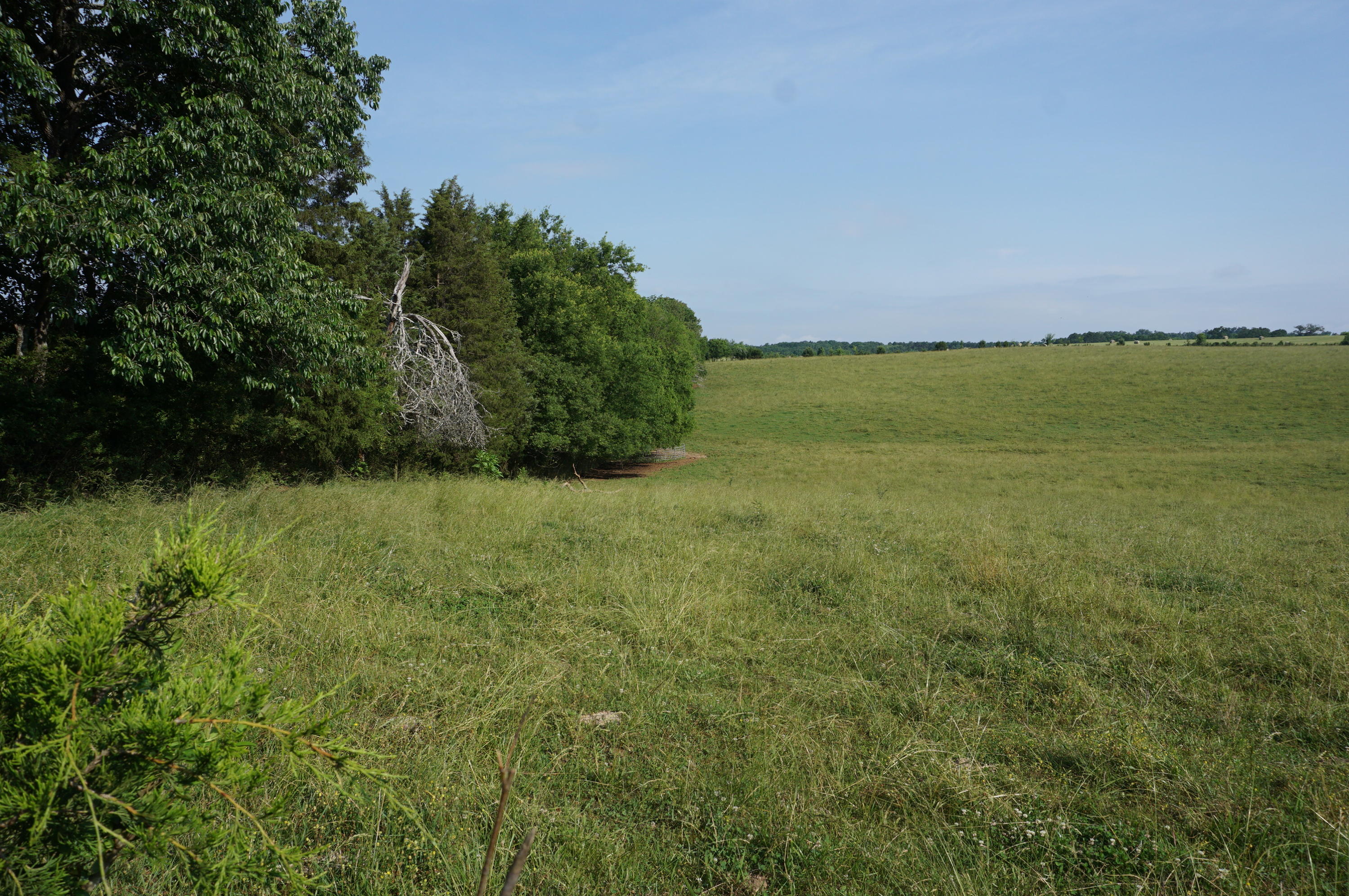 Axley Chapel Road Greenback, TN 37742 - Photo 3 of 4 Lot 1 Access Route
