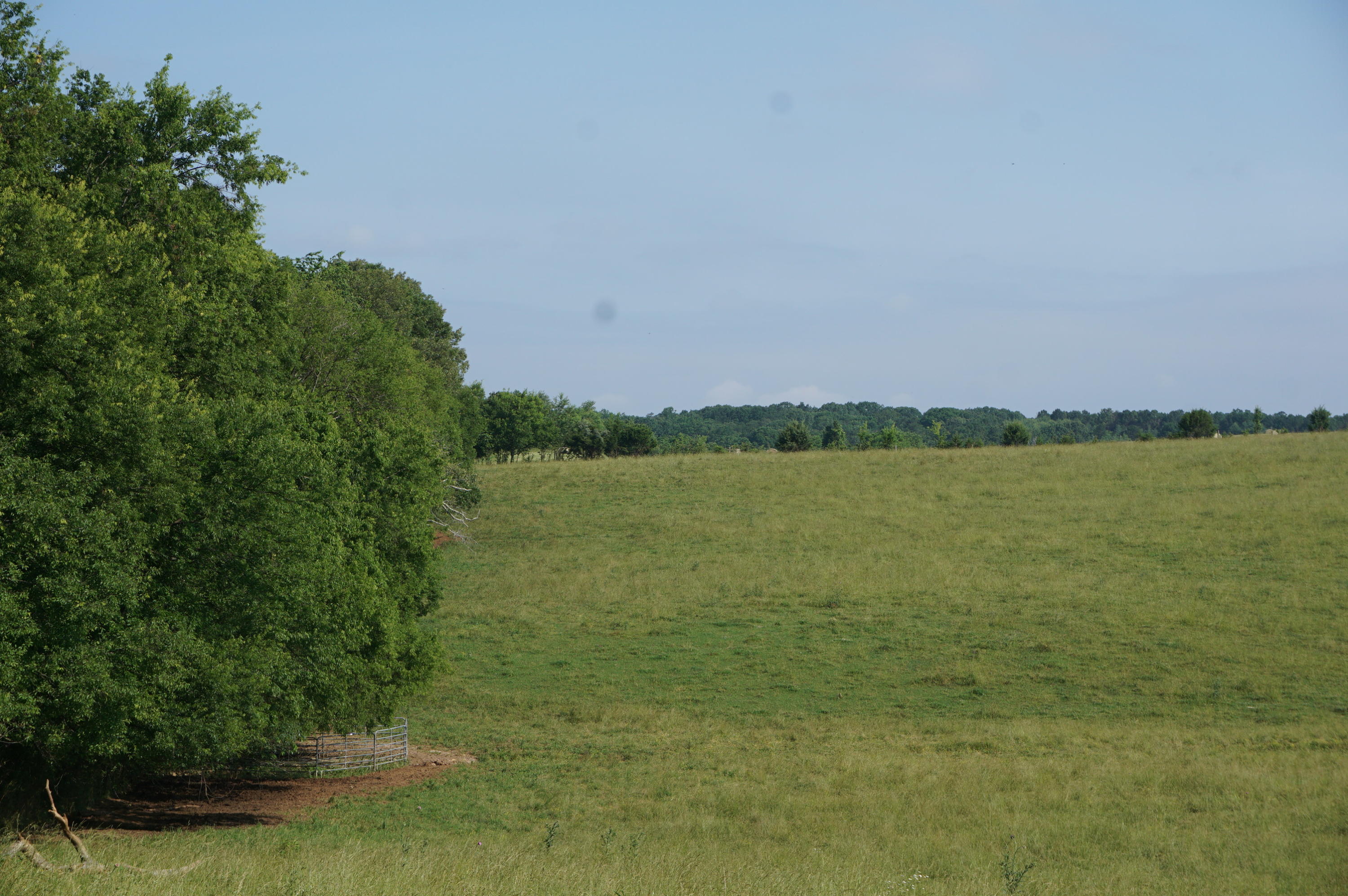 Axley Chapel Road Greenback, TN 37742 - Photo 4 of 4 Lot 1 Access Route Close Up