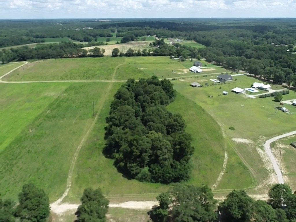 16-ac 16-ac National Road Dothan, AL 36301 - Photo 39 of 45