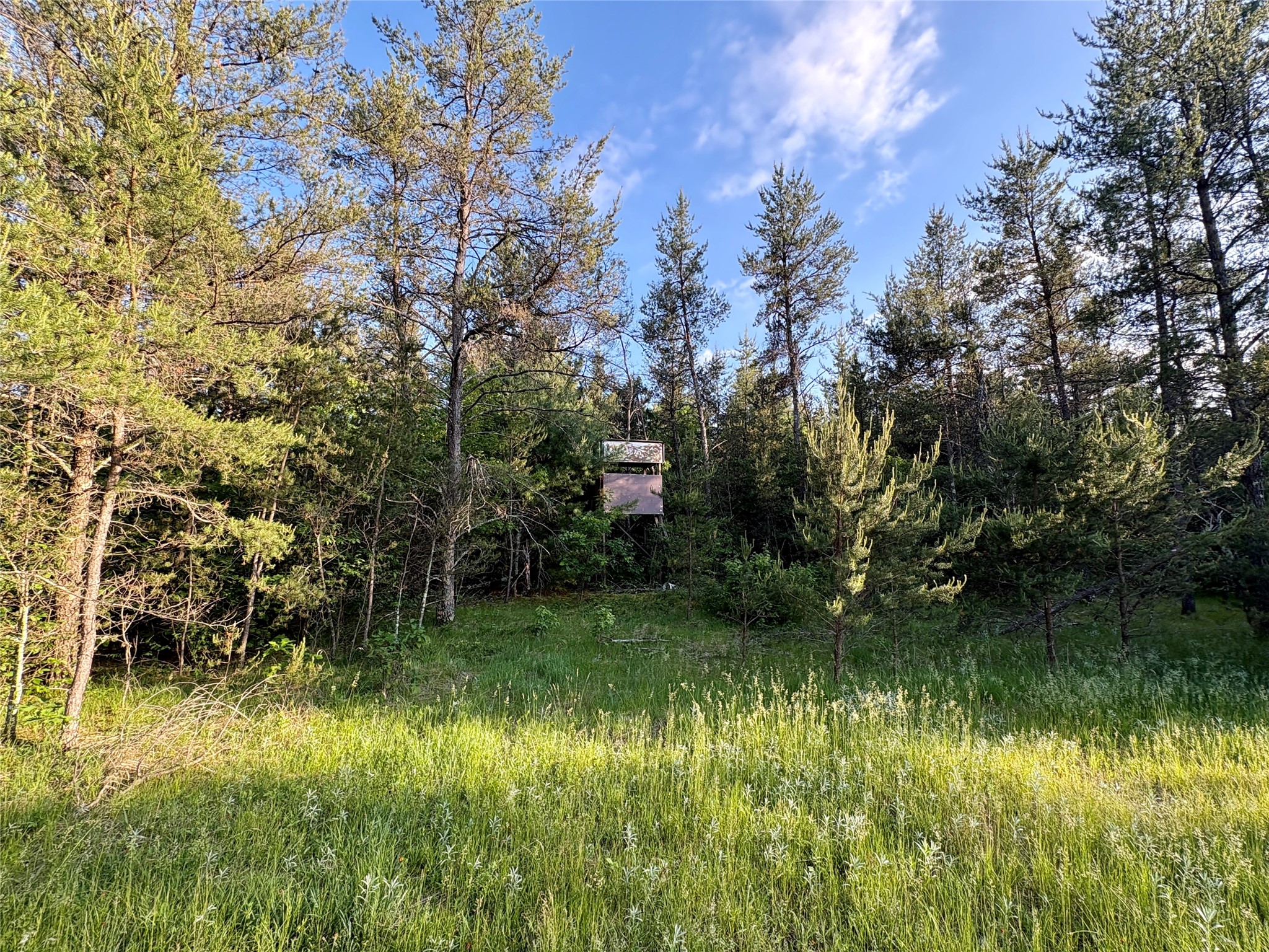 0 Cty Road Augusta, WI 54722 - Photo 37 of 53