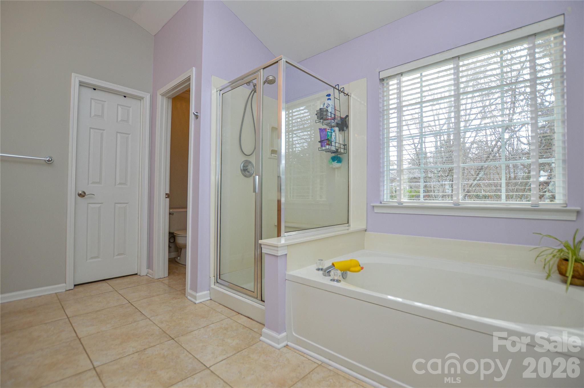 123 Comata Road Mooresville, NC 28117 - Photo 42 of 48