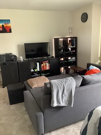 $2,600 | 60 Longwood Avenue, Unit 206, Brookline, MA 02446