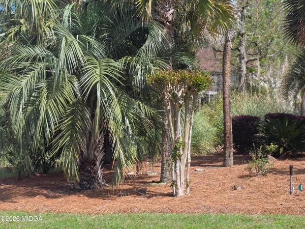 $1,595,900 | 350 Hillridge Cove, Lizella, GA 31052