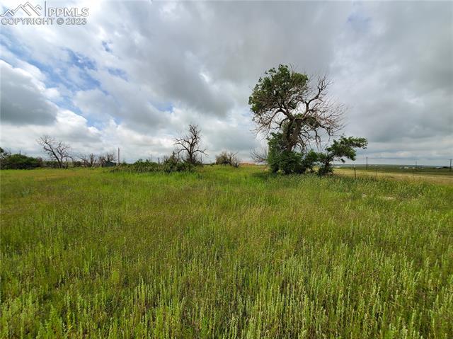 31770 Big Springs Road Calhan, CO 80808 - Photo 14 of 17 Gallery Image 14