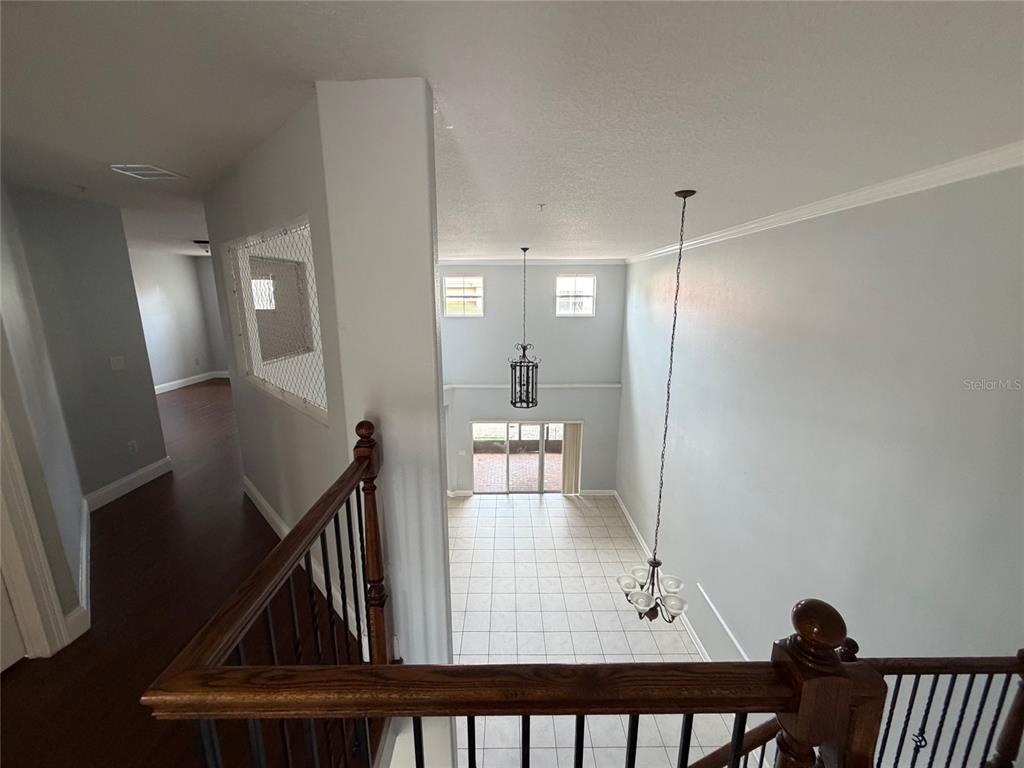 6833 Piazza Street Orlando, FL 32819 - Photo 9 of 12