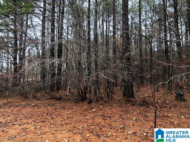 0 Lakeside Lane, Unit 31 Alpine, AL 35014 - Photo 23 of 42