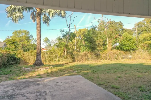 a view of a yard with an tree