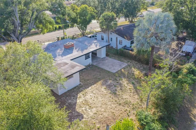 a view of a tree with flower plants