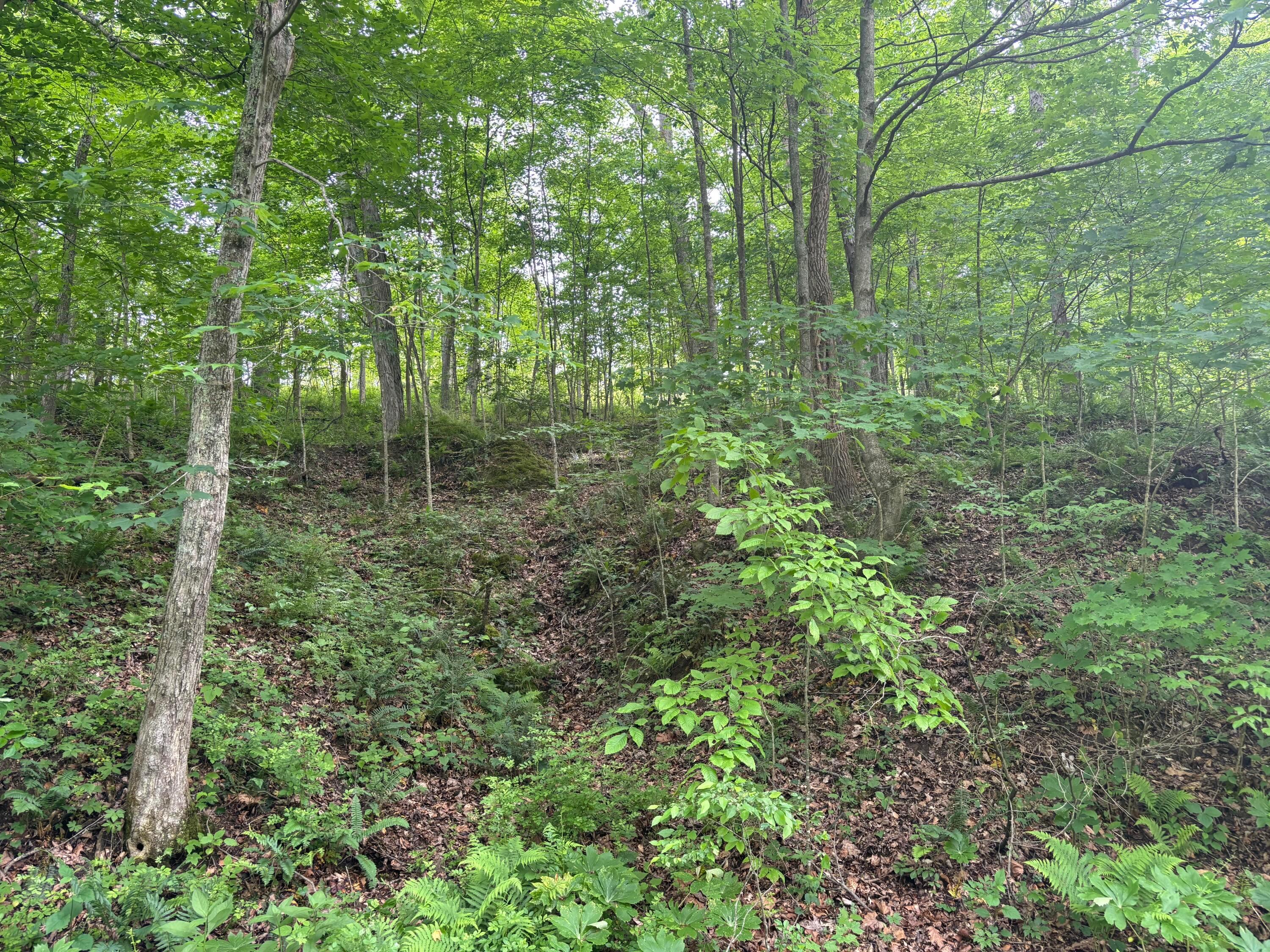 31551 Bensonhaver Road Logan, OH 43138 - Photo 2 of 9 IMG_8496 2
