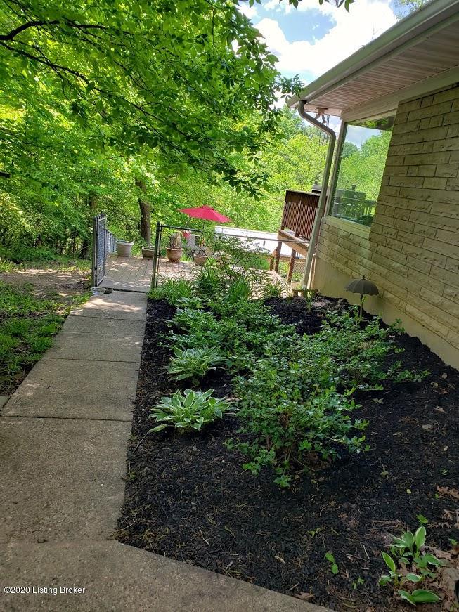 Side Yard