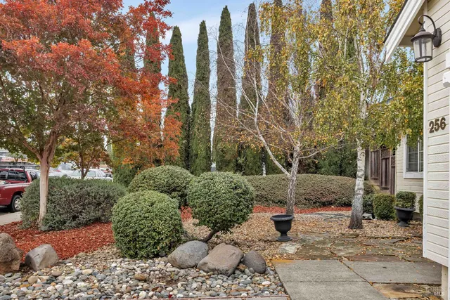 a view of a garden with plants and large trees