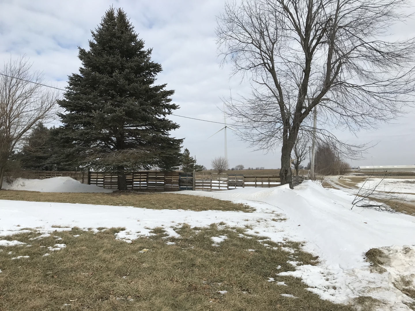 1994 Houghtby Road Shabbona, IL 60550 - Photo 30 of 45 a view of a yard with snow on the road