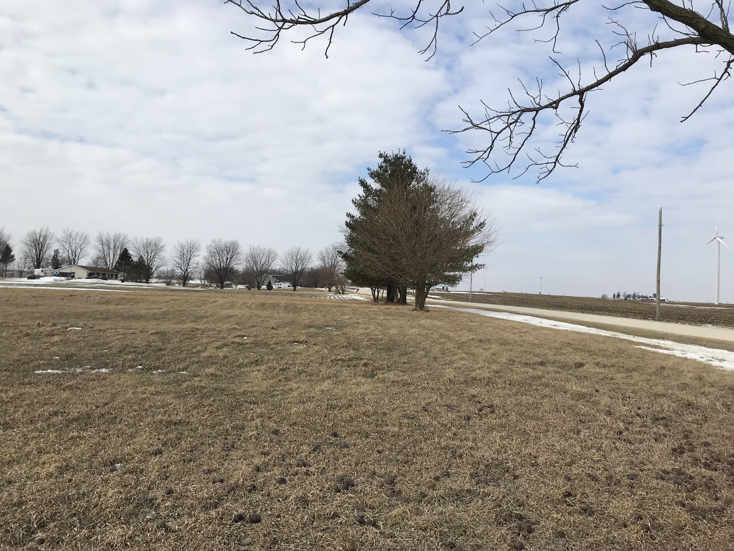 1994 Houghtby Road Shabbona, IL 60550 - Photo 35 of 45 a view of a backyard of the house
