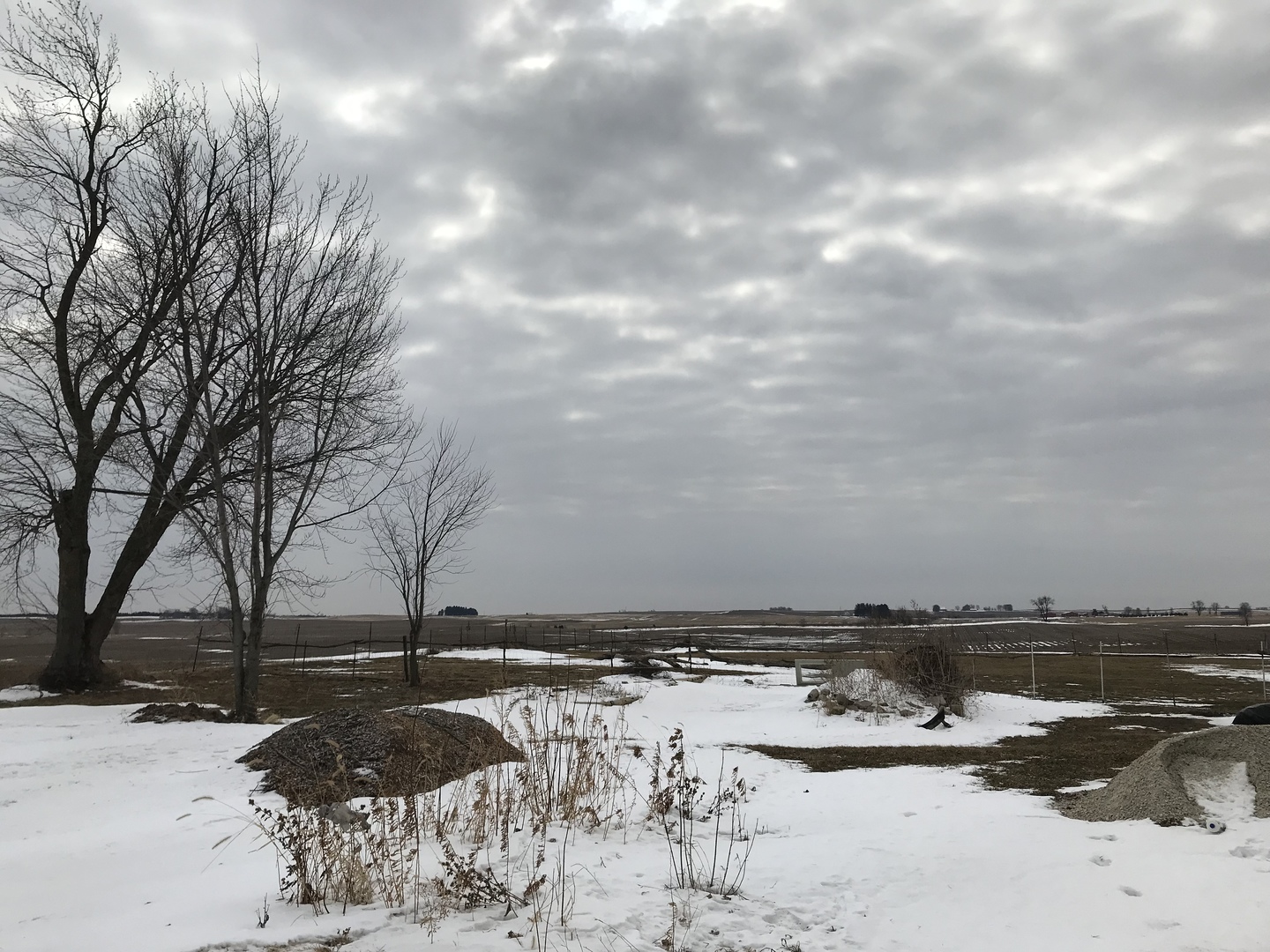 1994 Houghtby Road Shabbona, IL 60550 - Photo 40 of 45 a view of a lake with trees