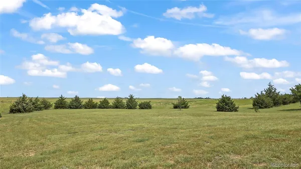 a view of a big yard with lots of green space