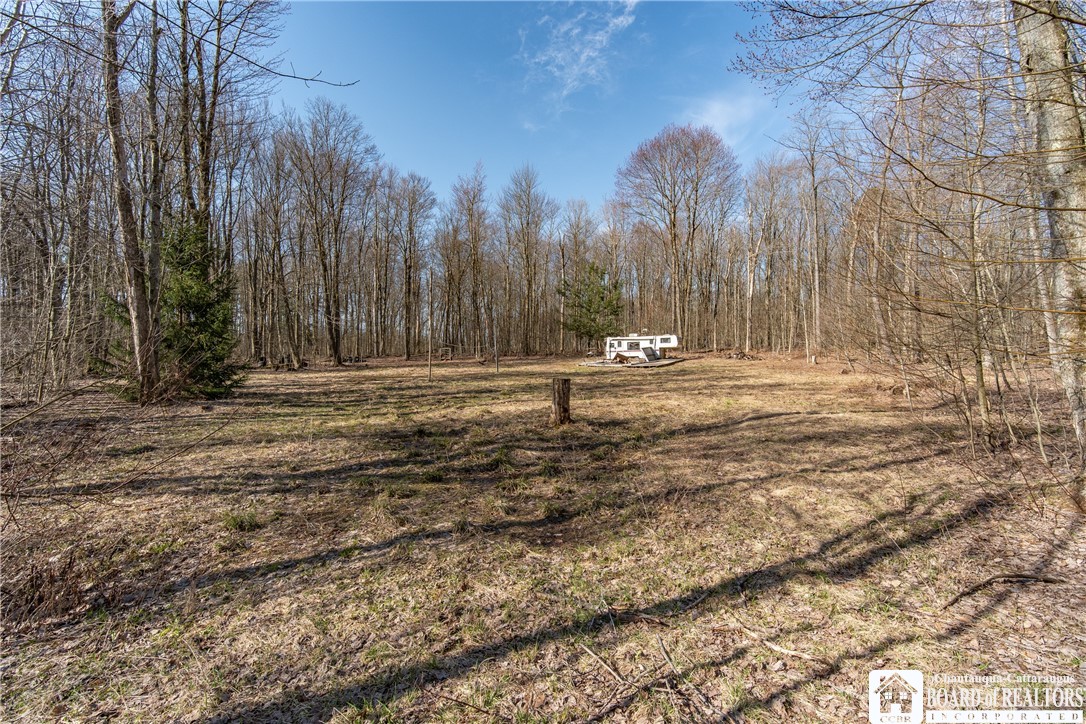 3675 Salisbury Road Ellery, NY 14701 - Photo 11 of 15