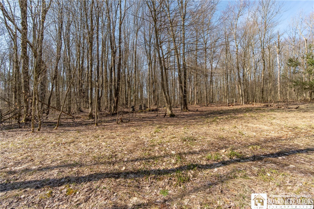 3675 Salisbury Road Ellery, NY 14701 - Photo 14 of 15