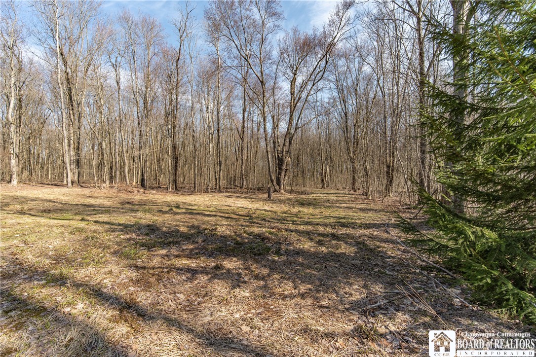 3675 Salisbury Road Ellery, NY 14701 - Photo 15 of 15