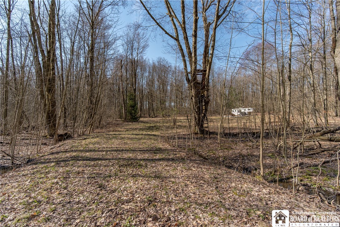 3675 Salisbury Road Ellery, NY 14701 - Photo 2 of 15