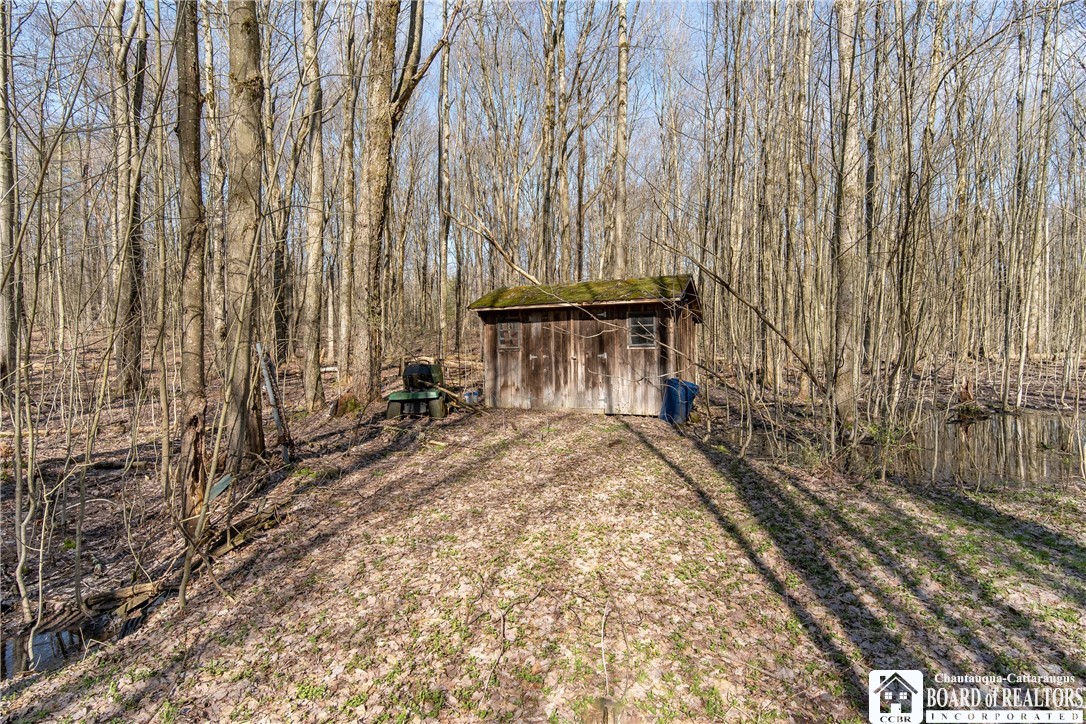 3675 Salisbury Road Ellery, NY 14701 - Photo 3 of 15