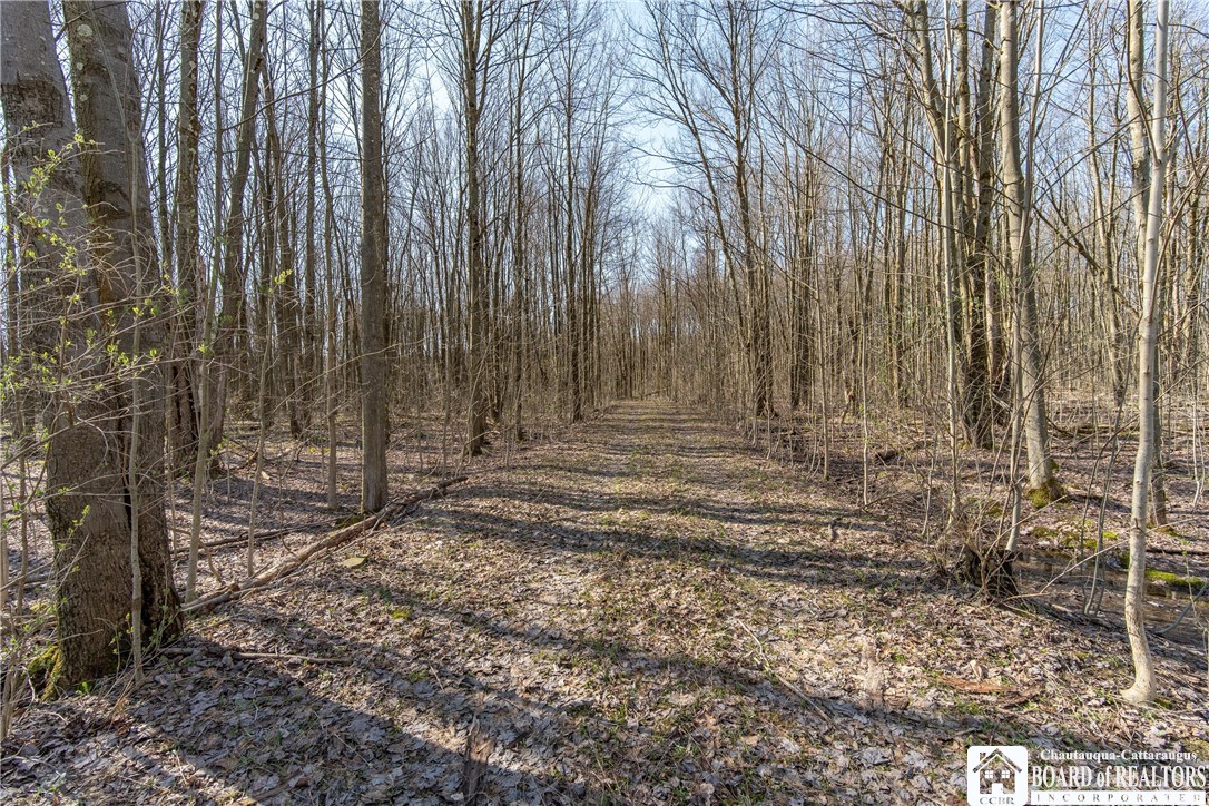 3675 Salisbury Road Ellery, NY 14701 - Photo 4 of 15