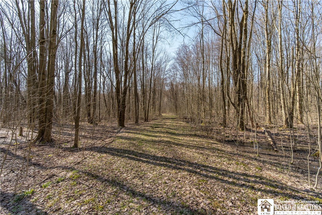 3675 Salisbury Road Ellery, NY 14701 - Photo 5 of 15