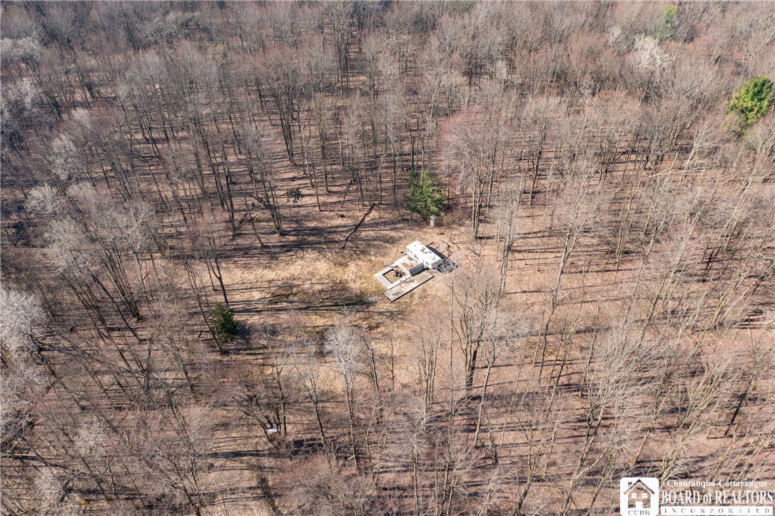 3675 Salisbury Road Ellery, NY 14701 - Photo 6 of 15