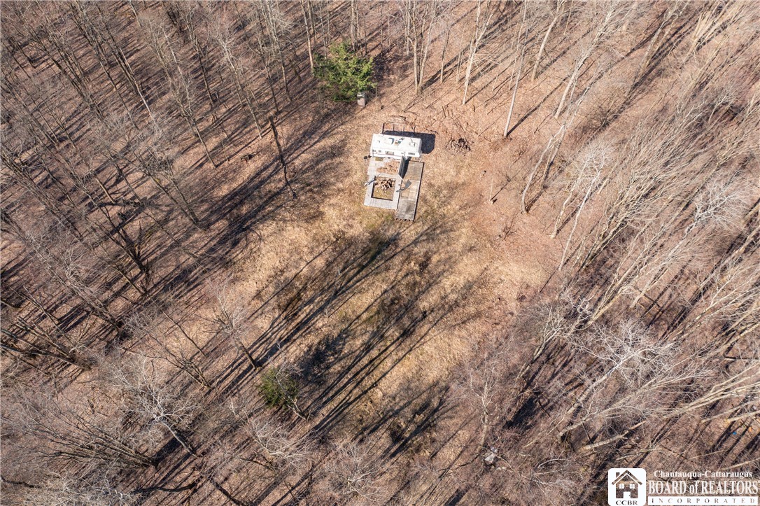 3675 Salisbury Road Ellery, NY 14701 - Photo 7 of 15