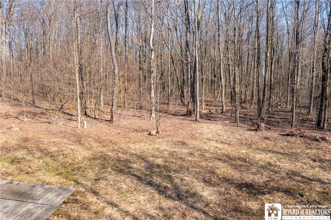 3675 Salisbury Road Ellery, NY 14701 - Photo 9 of 15