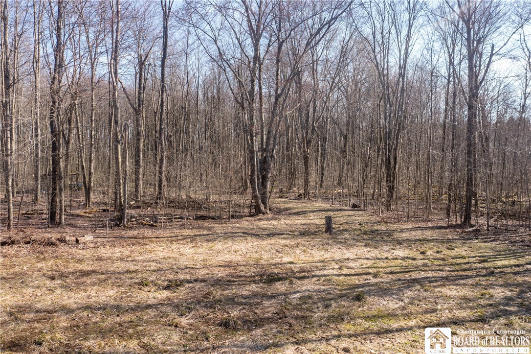 3675 Salisbury Road Ellery, NY 14701 - Photo 10 of 15