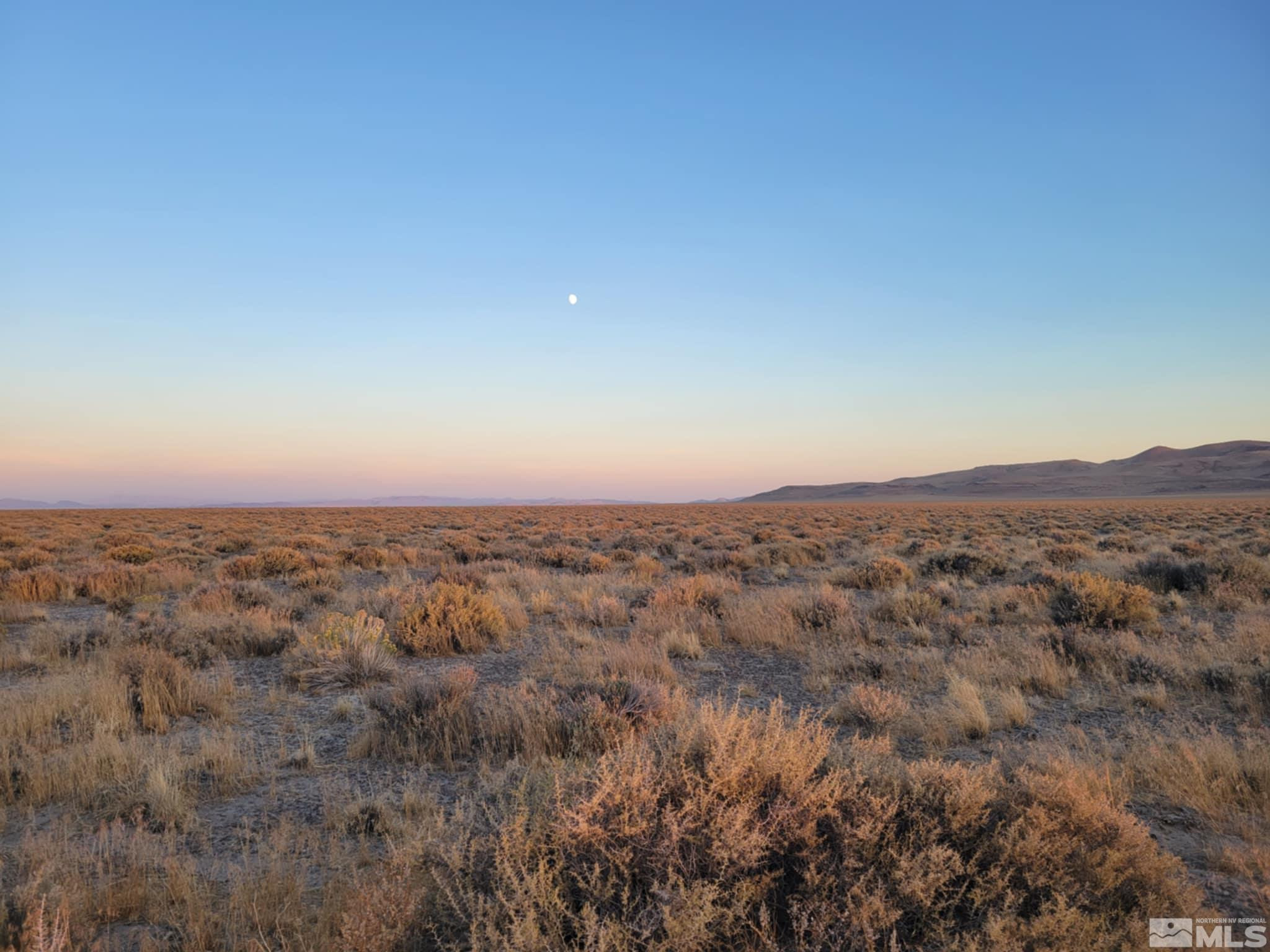 12017 Power Line Road Fallon, NV 89406 - Photo 3 of 7 an aerial view of house with yard and mountain view in back