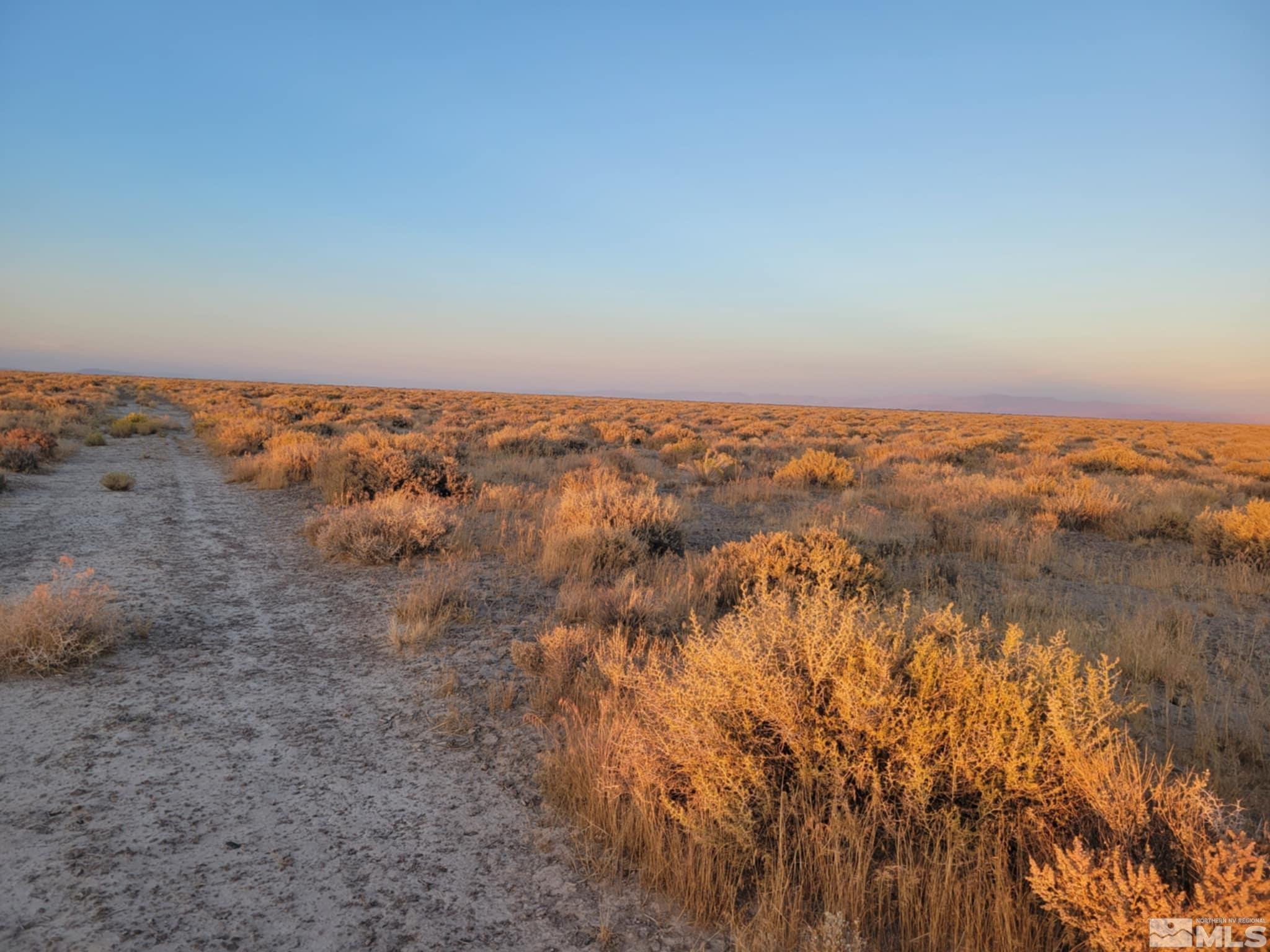 12017 Power Line Road Fallon, NV 89406 - Photo 4 of 7 an aerial view of house with yard and mountain in the back