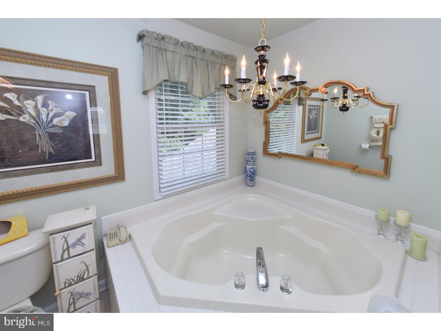 212 Chestnut Ridge Drive Magnolia, DE 19962 - Photo 21 of 25 Gallery Image 21