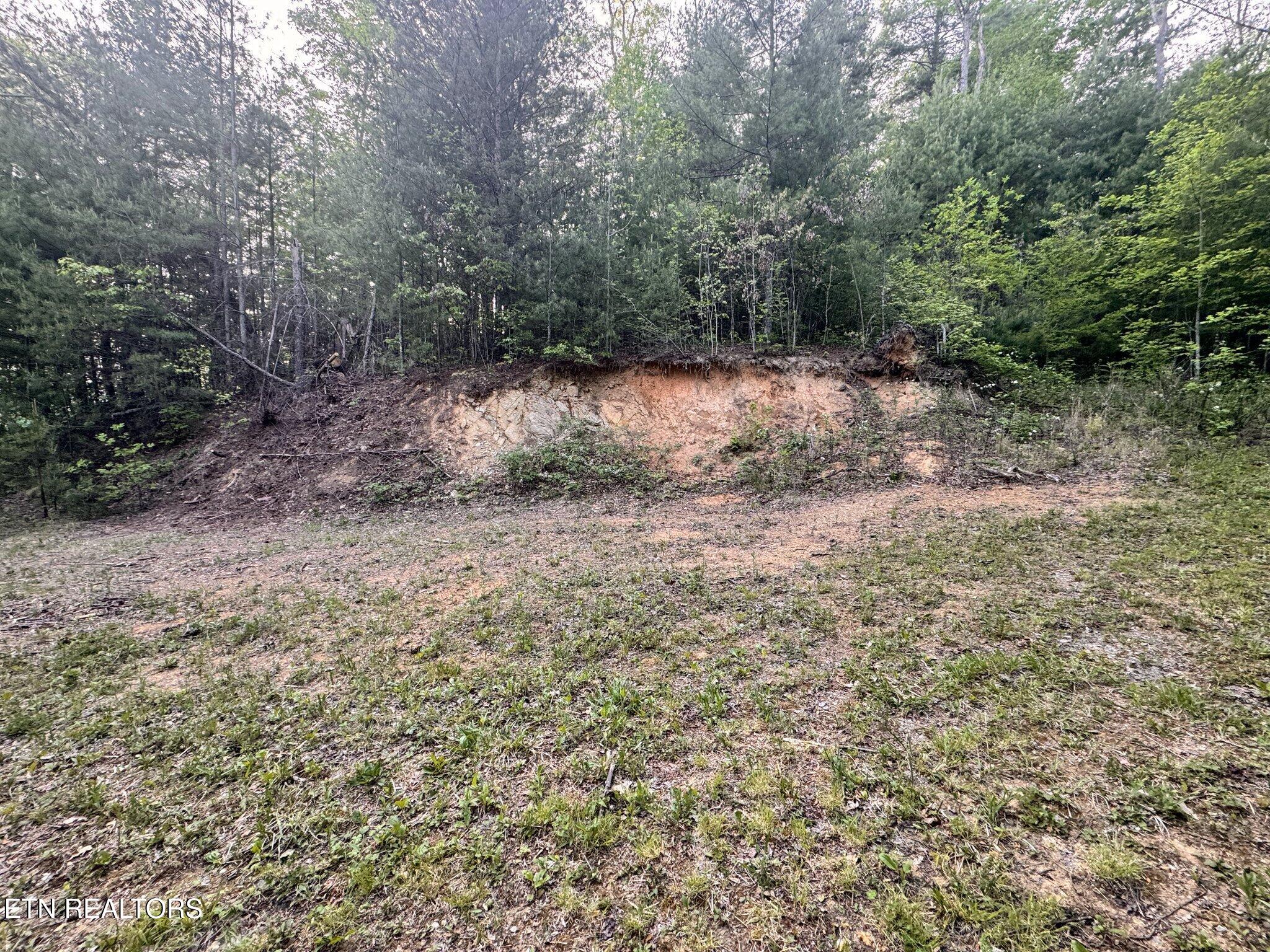 Lot 41 Black Maple Way Del Rio, TN 37727 - Photo 20 of 23 Black Maple House Site2