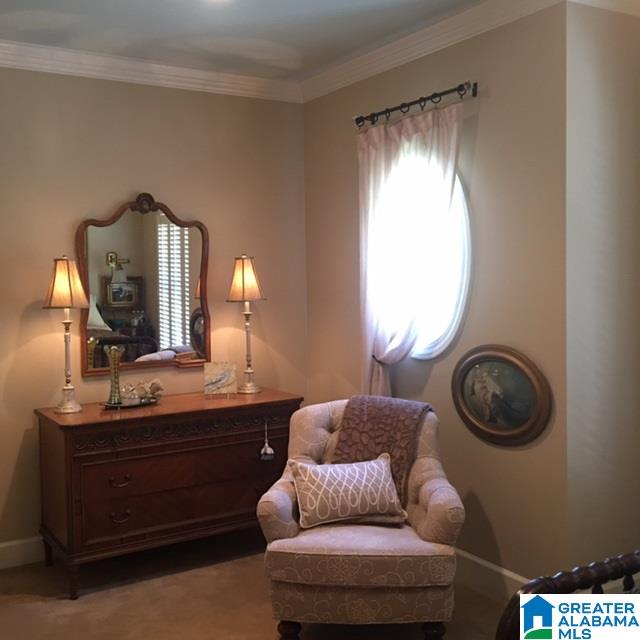 126 Monarch Road Springville, AL 35146 - Photo 34 of 43