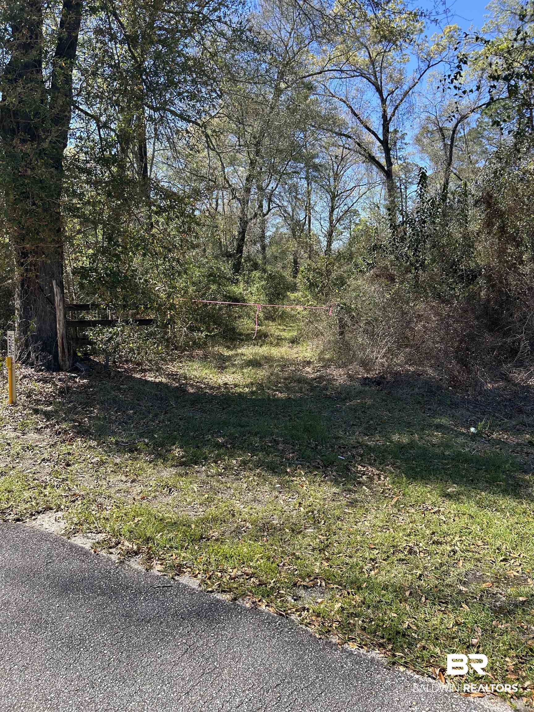 0 Fleming Lane Brewton, AL 36426 - Photo 18 of 18 View of asphalt road