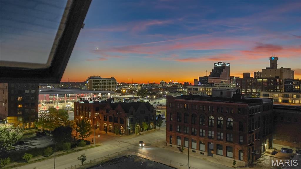 2020 Washington Avenue, Unit 710 St. Louis, MO 63103 - Photo 17 of 21