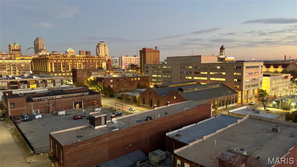 2020 Washington Avenue, Unit 710 St. Louis, MO 63103 - Photo 18 of 21