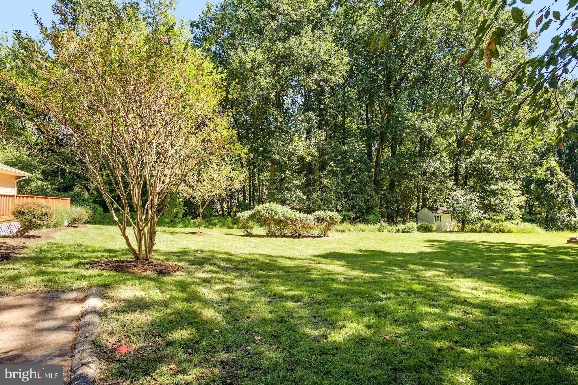 14541 Good Hope Road Silver Spring, MD 20905 - Photo 32 of 32 A quiet and restful place to call home